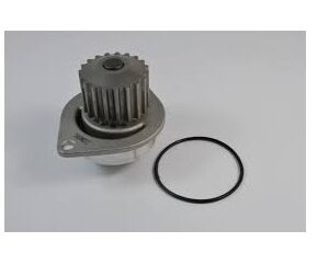 BBA AGUA PEUGEOT 206-307-C4 1.6 16V TU5JP4 DOLZ ESPANA